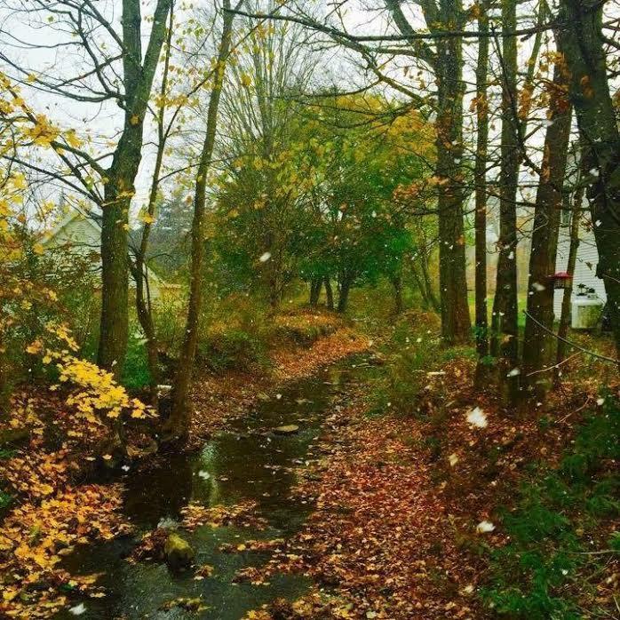 Brookside Inn At Laurens المظهر الخارجي الصورة
